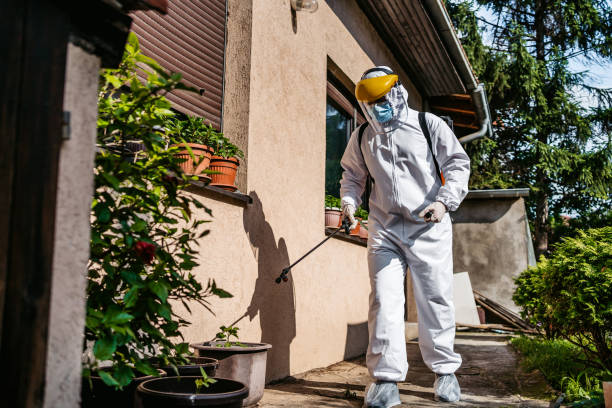 Best Cockroach Control Services  in Lyndon, KS