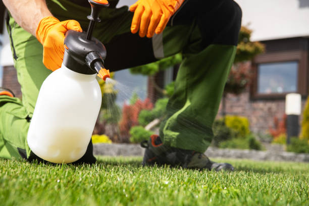 Best Exterminator Services  in Lyndon, KS