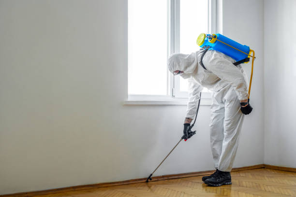 Best Emergency Pest Control  in Lyndon, KS