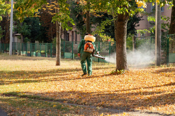 Best Termite Control Services  in Lyndon, KS
