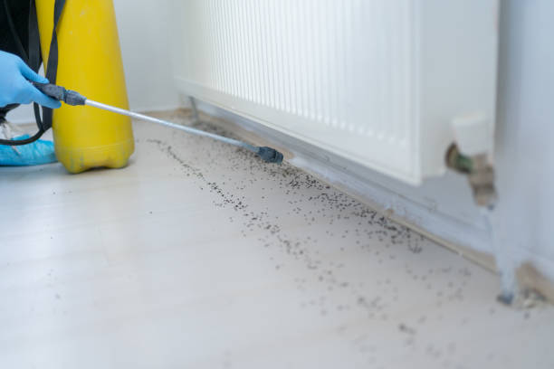 Best Pest Inspection Near Me  in Lyndon, KS